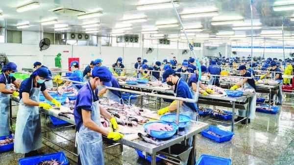 Công nhân chế biến thủy sản ở Khu công nghiệp Trà Nóc.