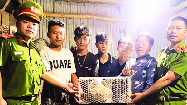 Nhóm thanh niên phường Bắc Gia Nghĩa bàn giao cá thể tê tê cho lực lượng công an phường.