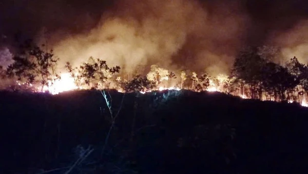 Diện tích bị cháy rộng hơn 2ha.