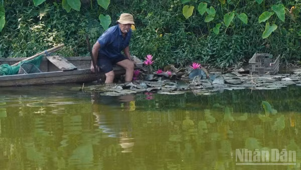 Người đàn ông 78 tuổi ở Huế vừa phải học lại bài học bảo vệ cảnh quan chung.