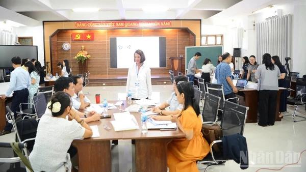 Dự án được thiết kế nhằm hỗ trợ trực tiếp chương trình cải cách của Bộ Giáo dục và Đào tạo.