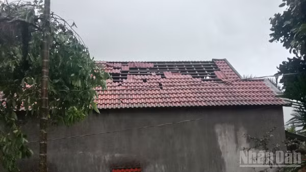 Trận lốc xoáy với cường độ mạnh bất ngờ quét qua khiến 116 ngôi nhà của người dân ở xã Ba Vì (Quảng Ngãi) bị hư hỏng.