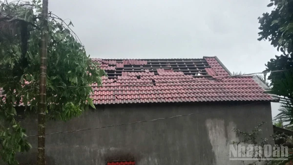 Trận lốc xoáy với cường độ mạnh bất ngờ quét qua khiến 116 ngôi nhà của người dân ở xã Ba Vì (Quảng Ngãi) bị hư hỏng.