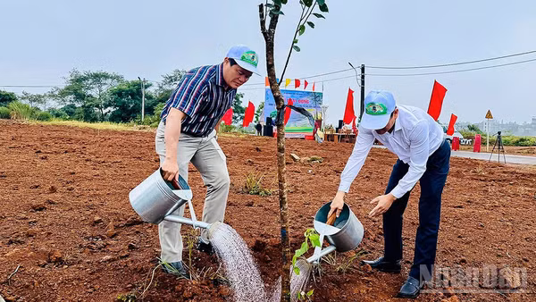 Các đại biểu tham gia trồng cây, góp phần tạo cảnh quan xanh-sạch-đẹp cho khu vực trung tâm xã Măng Đen.