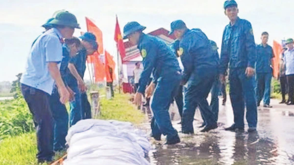 Diễn tập bảo vệ đê điều tại xã Hát Môn.