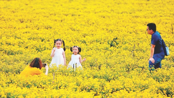 Mô hình kết hợp nông nghiệp hữu cơ - thảo dược bản địa - du lịch sinh thái tại Hợp tác xã RiTi thu hút du khách đến tham quan, trải nghiệm.