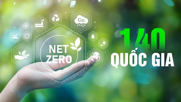 [Video] NET ZERO - Hành trình hướng tới tương lai xanh