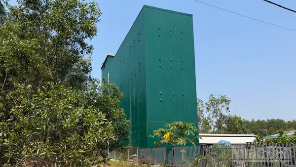 Ngành nuôi chim yến ở Quảng Ngãi đã có bước phát triển, tạo nhiều công ăn việc làm và nguồn thu lớn cho người dân.