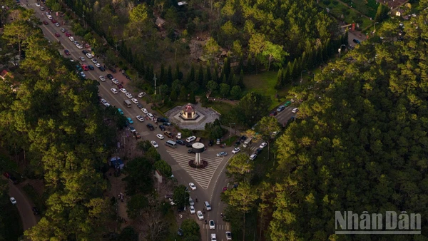 Măng Đen - Nóc nhà miền trung, trái tim xanh của tỉnh Quảng Ngãi.