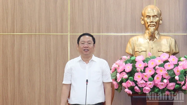 Phó Chủ tịch Ủy ban nhân dân tỉnh Quảng Ngãi Nguyễn Công Hoàng phát biểu chỉ đạo tại cuộc họp.