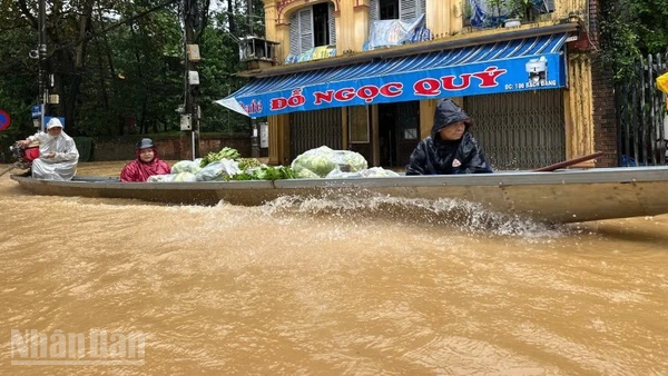 Từ 15/10-2/11, thành phố Huế đã trải qua năm đợt mưa lớn liên tiếp, tạo hai đợt lũ đặc biệt lớn.