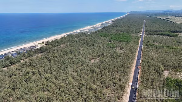 Toàn bộ đoạn tuyến dự án đường ven biển Dung Quất-Sa Huỳnh giai đoạn IIb dài gần 6km đi qua địa bàn 2 xã Mỏ Cày và Lân Phong sẽ hoàn thành vào cuối tháng 8 này.