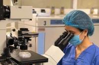 Bác sĩ Viện Mô phôi lâm sàng Quân đội thực hiện kỹ thuật để làm IVF cho bệnh nhân vô sinh, hiếm muộn.