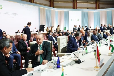 Các nhà lãnh đạo Arab và Hồi giáo thảo luận bên lề Hội nghị OIC. Ảnh: GettyImages