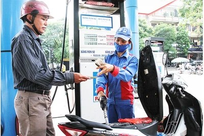 Khi chính sách như thuế, quỹ bình ổn, dự trữ năng lượng và quản lý thị trường được phối hợp đồng bộ, nền kinh tế sẽ giảm bớt tác động tiêu cực từ biến động giá dầu thế giới. 