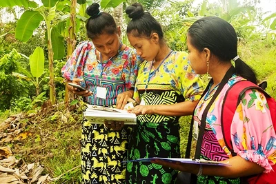 Người dân địa phương tham gia giám sát và thu thập dữ liệu bảo tồn rừng. Ảnh: GETTYIMAGES