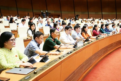 Lập Hội đồng Bầu cử quốc gia