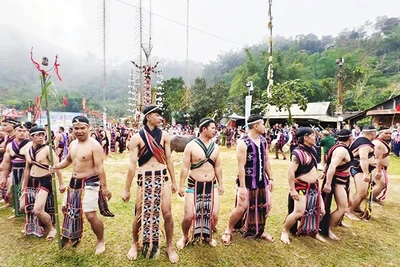 Người dân thực hiện nghi thức hiến trâu, múa tâng tung da dá.