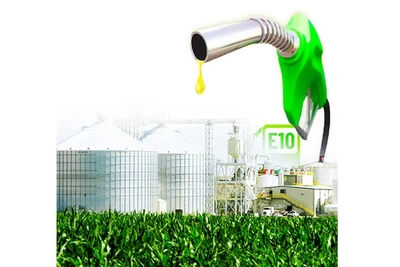 Nguồn cung ethanol là yếu tố then chốt quyết định sự thành công của lộ trình chuyển đổi nhiên liệu sinh học tại Việt Nam. Đồ họa: ANH QUÂN