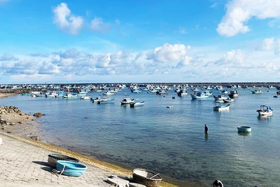 Thong dong ở Phú Quý