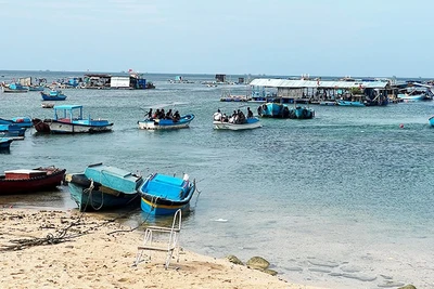 Tàu cá chở du khách ra bãi tắm, lặn mà không có áo phao tại đảo Phú Quý.