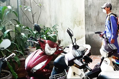 Ngăn chặn dịch sốt xuất huyết bùng phát