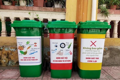 Thùng phân loại rác thải đang được triển khai đồng loạt ở các đô thị lớn.