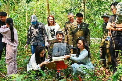 Đưa thú hoang “về nhà”