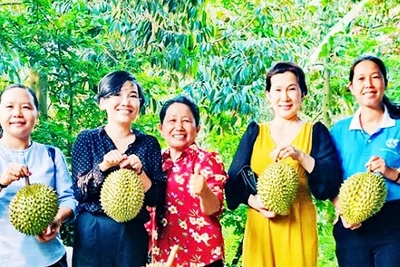 HTX nông nghiệp Tân Phú góp phần phát triển nông nghiệp bền vững tại Vĩnh Long.