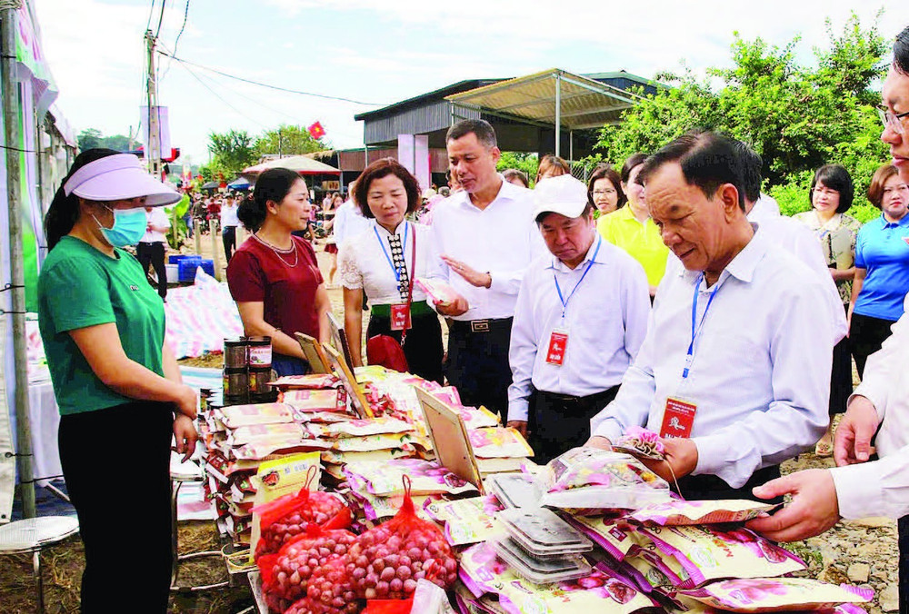 2- Giới thiệu sản phẩm tại ngày hội. 2jpg.jpg