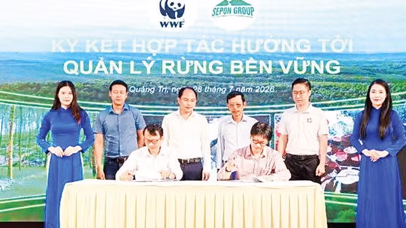 Ký kết hợp tác hướng tới quản lý rừng bền vững (Ảnh HOÀNG PHÚC)