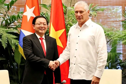 Phó Thủ tướng Chính phủ Hồ Quốc Dũng tiếp kiến Bí thư thứ nhất, Chủ tịch nước Cuba Miguel Diaz-Canel Bermudez. (Ảnh: Đại sứ quán Việt Nam tại Cuba)