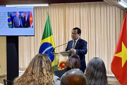 Đại sứ Bùi Văn Nghị phát biểu tại hội thảo. (Ảnh: Đại sứ quán Việt Nam tại Brazil)