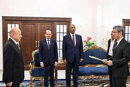 Đại sứ Hoàng Hữu Anh trình Thư ủy nhiệm của Chủ tịch nước Lương Cường lên Tiến sĩ Rashad Mohammed Al-Alimi - Chủ tịch Hội đồng Tổng thống Cộng hòa Yemen. (Ảnh: Đại sứ quán Việt Nam tại Arab Saudi)