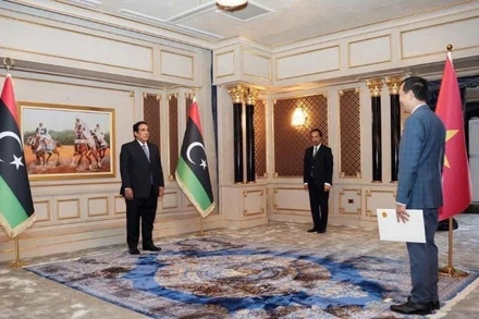 Đại sứ Nguyễn Nam Dương trình Thư ủy nhiệm của Chủ tịch nước Lương Cường lên Chủ tịch Hội đồng Tổng thống Libya, ông Mohamed al-Menfi. (Ảnh: Đại sứ Việt Nam tại Ai Cập)