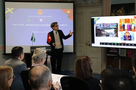 Các diễn giả trình bày tại Diễn đàn đối tác y tế Việt Nam-Thụy Điển. (Ảnh: Đại sứ quán Việt Nam tại Thụy Điển)