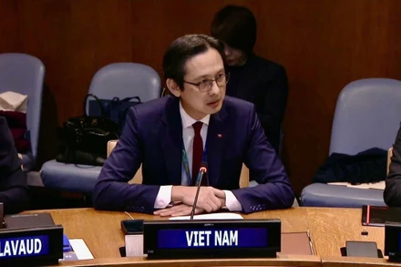 Đại sứ Đỗ Hùng Việt phát biểu tại Tọa đàm Hiệp ước Hữu nghị và Hợp tác ở Đông Nam Á. (Ảnh do Phái đoàn thường trực Việt Nam tại Liên hợp quốc cung cấp).