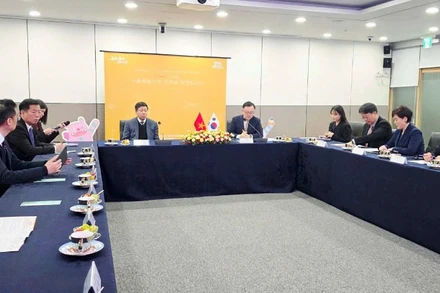 Toàn cảnh buổi làm việc. (Ảnh do Đại sứ quán Việt Nam tại Hàn Quốc cung cấp)