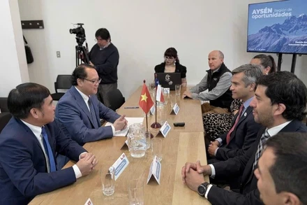 Toàn cảnh buổi làm việc giữa Đại sứ Nguyễn Việt Cường và các lãnh đạo vùng Aysén. (Ảnh: Đại sứ quán Việt Nam tại Chile)