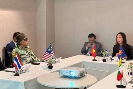 Đại sứ Việt Nam tại Sri Lanka Trịnh Thị Tâm đã chủ trì cuộc họp Ủy ban ASEAN tại Colombo.