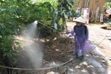 Phun hóa chất khử khuẩn tại vùng có bệnh dịch tả lợn châu Phi tại xã Quản Bạ.