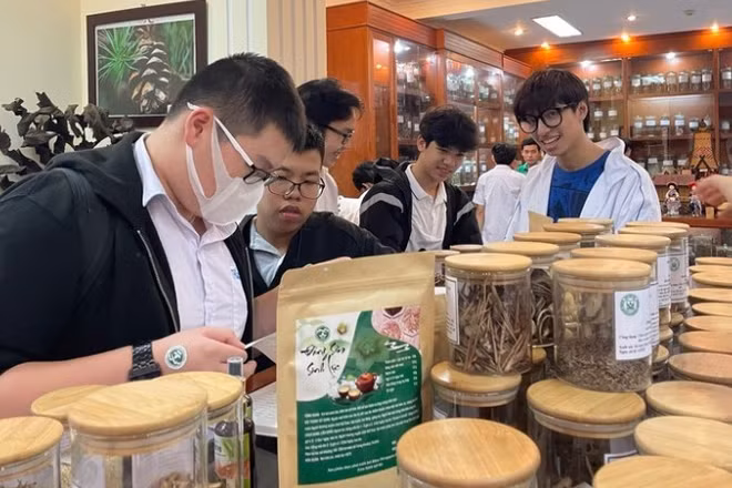 Học sinh tham quan Bảo tàng Dược liệu Việt Nam. (Ảnh: BÁO NHÂN DÂN)