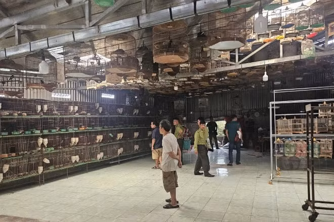 Cơ quan chức năng kiểm tra một cơ sở nuôi chim trái phép.