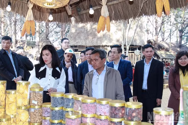 Nhiều hoạt động thương mại gắn với các sự kiện văn hóa giúp tỉnh Quảng Ngãi quảng bá dược liệu vùng Tây Nguyên.