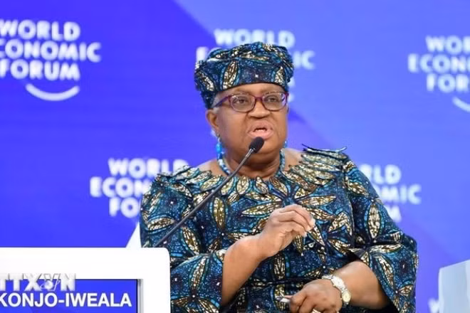 Tổng Giám đốc WTO Ngozi Okonjo-Iweala. (Ảnh: THX/TTXVN)