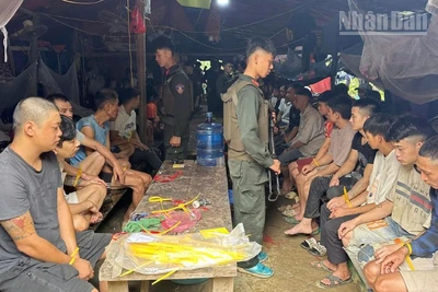 Lực lượng công an khống chế, bắt giữ các đối tượng khai thác vàng trái phép tại xã Gia Phù, tỉnh Sơn La.