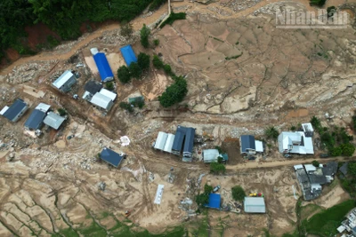 Mưa lũ tại Sơn La đã gây thiệt hại 1.183 nhà, trong đó 42 nhà bị sập đổ cuốn trôi hoàn toàn; 137 nhà phải di dời khẩn cấp; 90 nhà hư hỏng; 142 nhà ở khu vực có nguy cơ sạt lở cao và 772 nhà bị ngập úng.