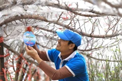 Mỗi gốc đào, quất xuân đều được gắn tên cá nhân, đơn vị tặng.