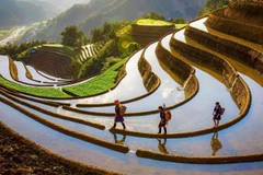 Một tác phẩm gợi cảm hứng bình yên của nghệ sĩ nhiếp ảnh Phạm RaRi.