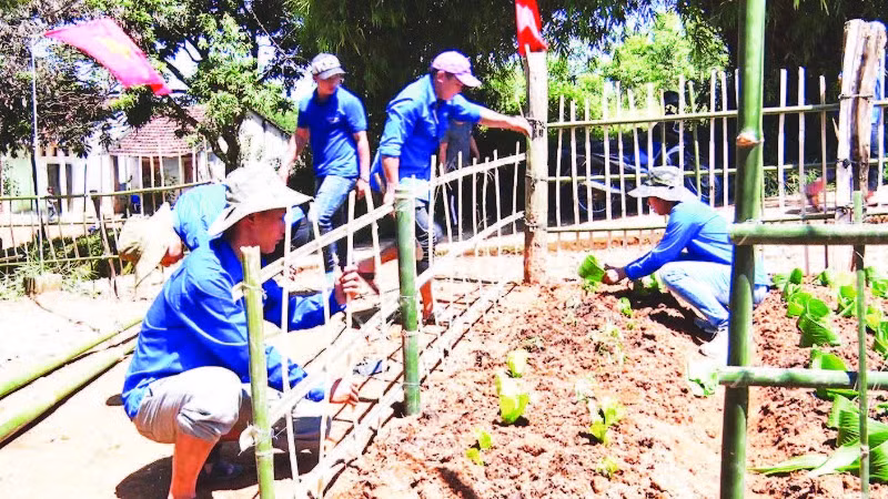 Mô hình cải tạo vườn tạp giúp người dân Đăk Hà phát triển kinh tế, cải thiện cuộc sống, làm đẹp cho quê hương.